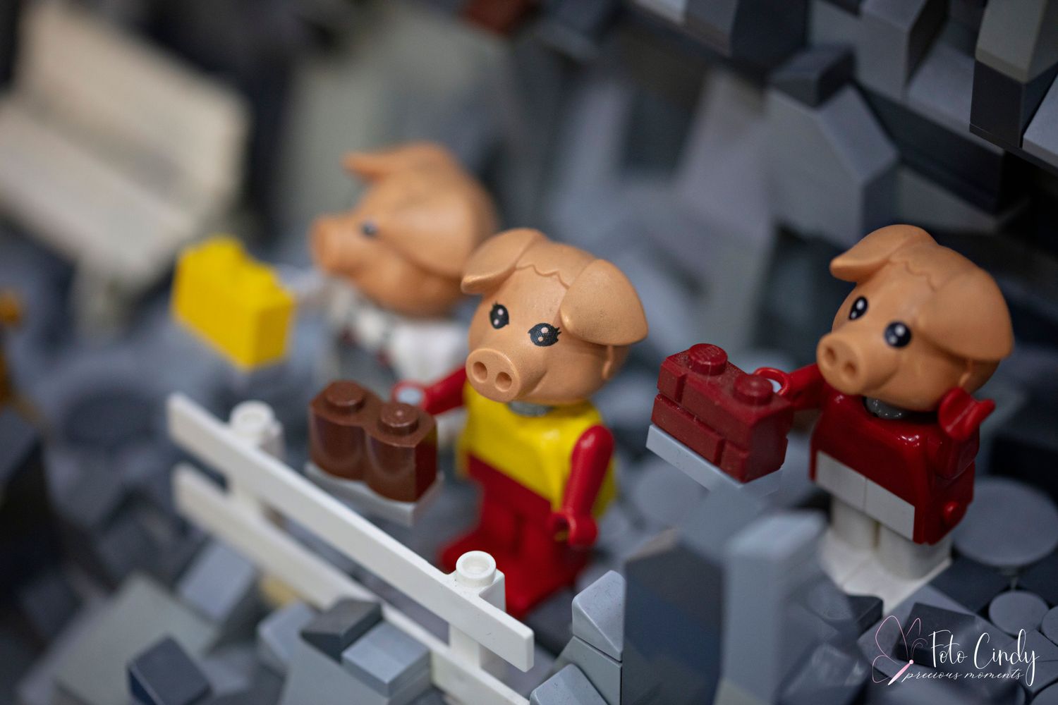 Legobeurs 2022-002